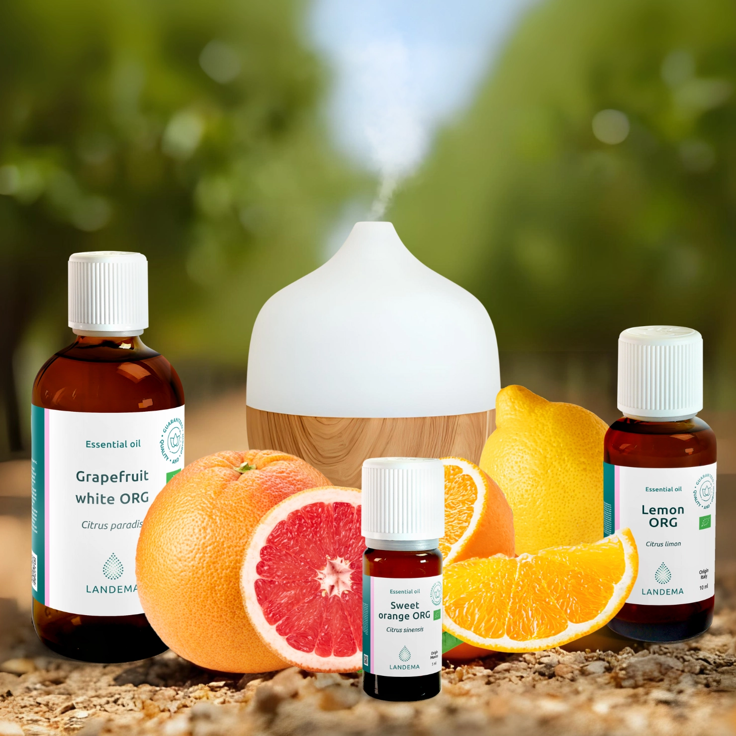 kit_Citrus diffusion kit – Good mood